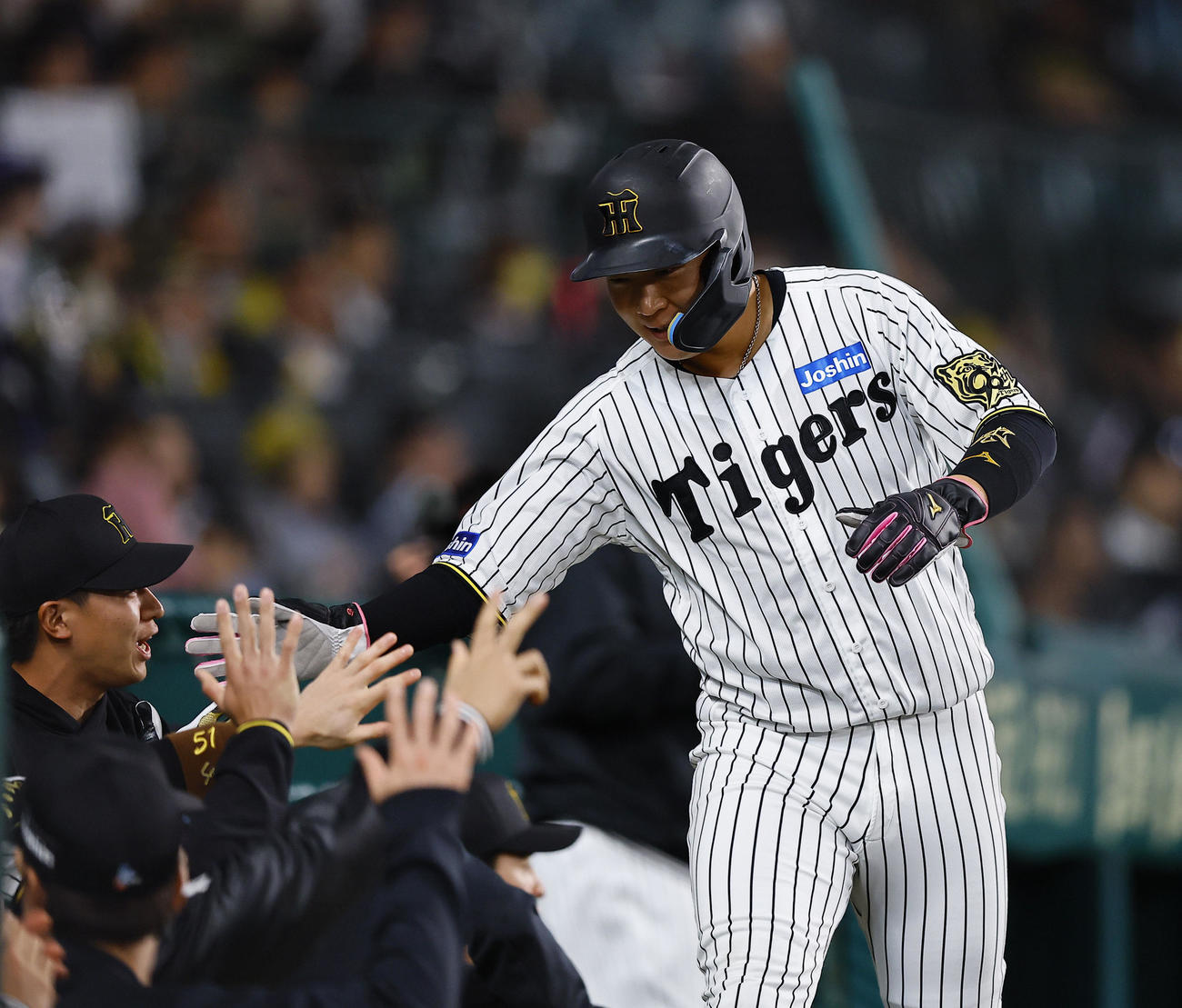 阪神対ヤクルト　2回裏阪神無死満塁、梅野の投ゴロで相手悪送球で生還、ナインとタッチを交わす大山（撮影・藤尾明華）