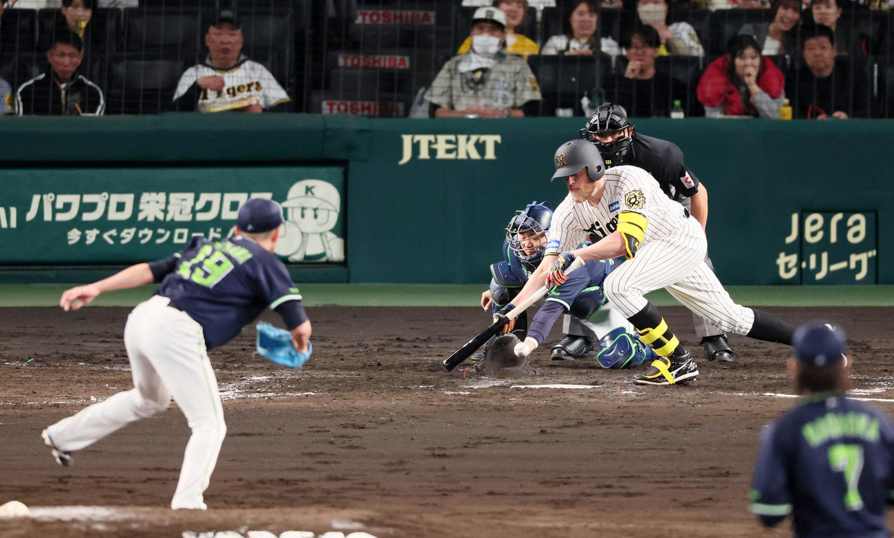 阪神対ヤクルト　4回裏阪神1死一、三塁、ビーズリーはスクイズを狙いに行くが凡退。徒手石川（撮影・加藤哉）