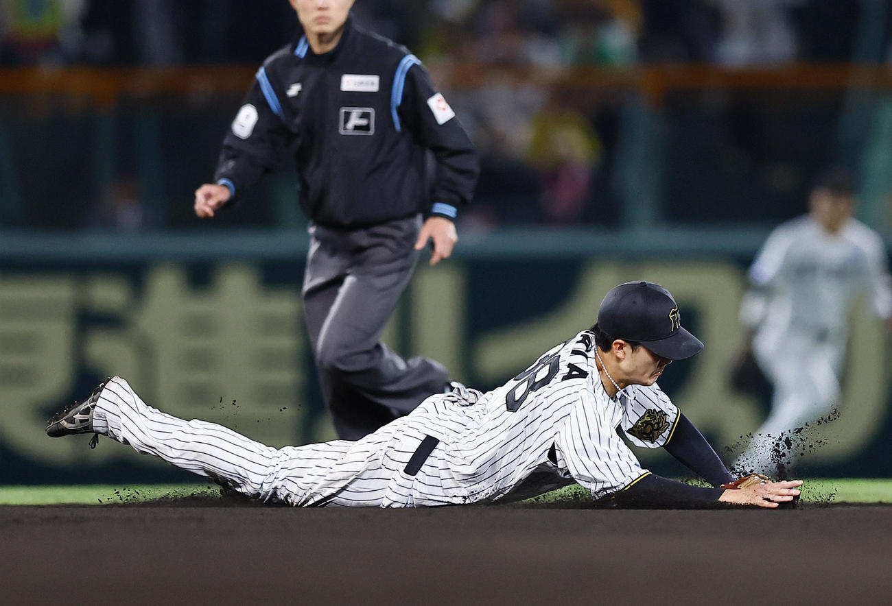 阪神対ヤクルト　8回表ヤクルト無死、オスナの遊ゴロで好守を見せる小幡（撮影・藤尾明華）