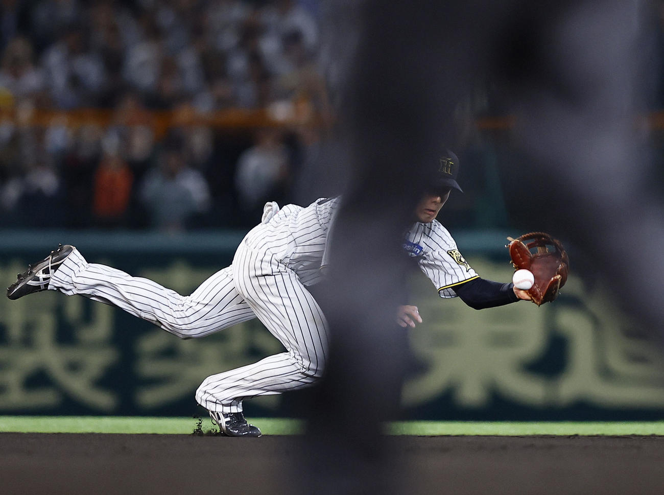 阪神対ヤクルト　8回表ヤクルト無死、オスナの遊ゴロで好守を見せる小幡（撮影・藤尾明華）