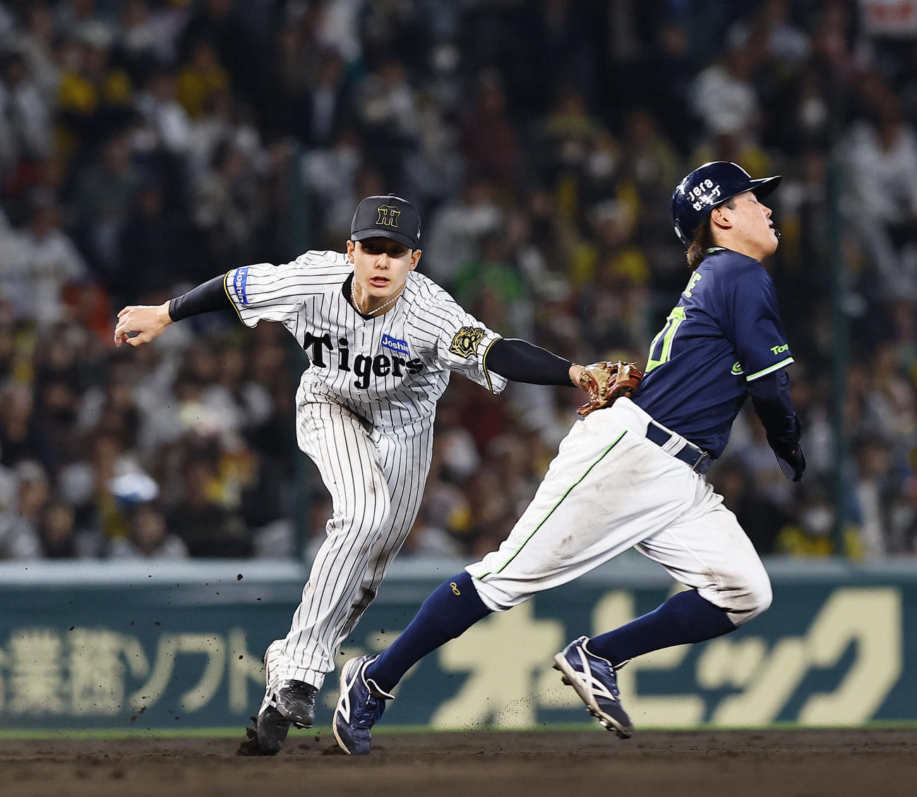 阪神対ヤクルト　9回表ヤクルト1死二塁、丸山和の遊ゴロで二走赤羽をタッチアウトにする小幡（撮影・藤尾明華）