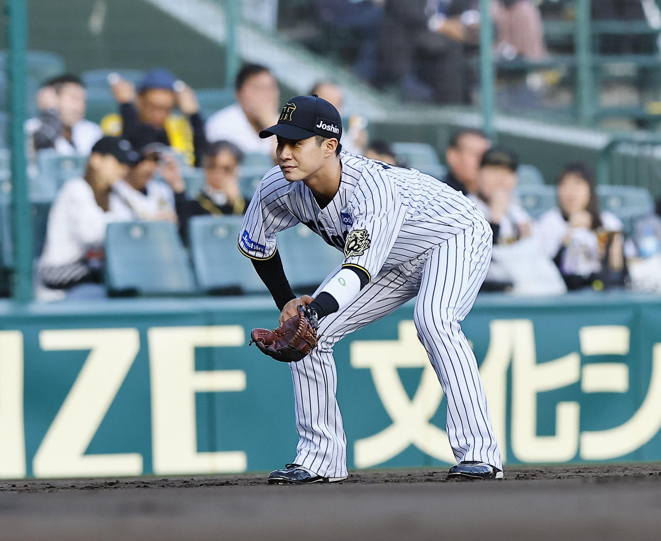 阪神対ヤクルト　三塁でシートノックを受ける阪神木浪（撮影・藤尾明華）