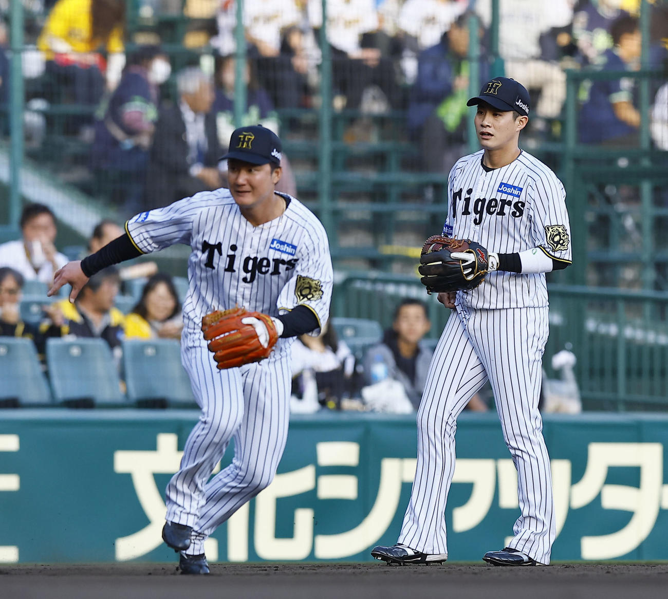 阪神対ヤクルト　三塁でシートノックを受ける阪神木浪（右）（撮影・藤尾明華）