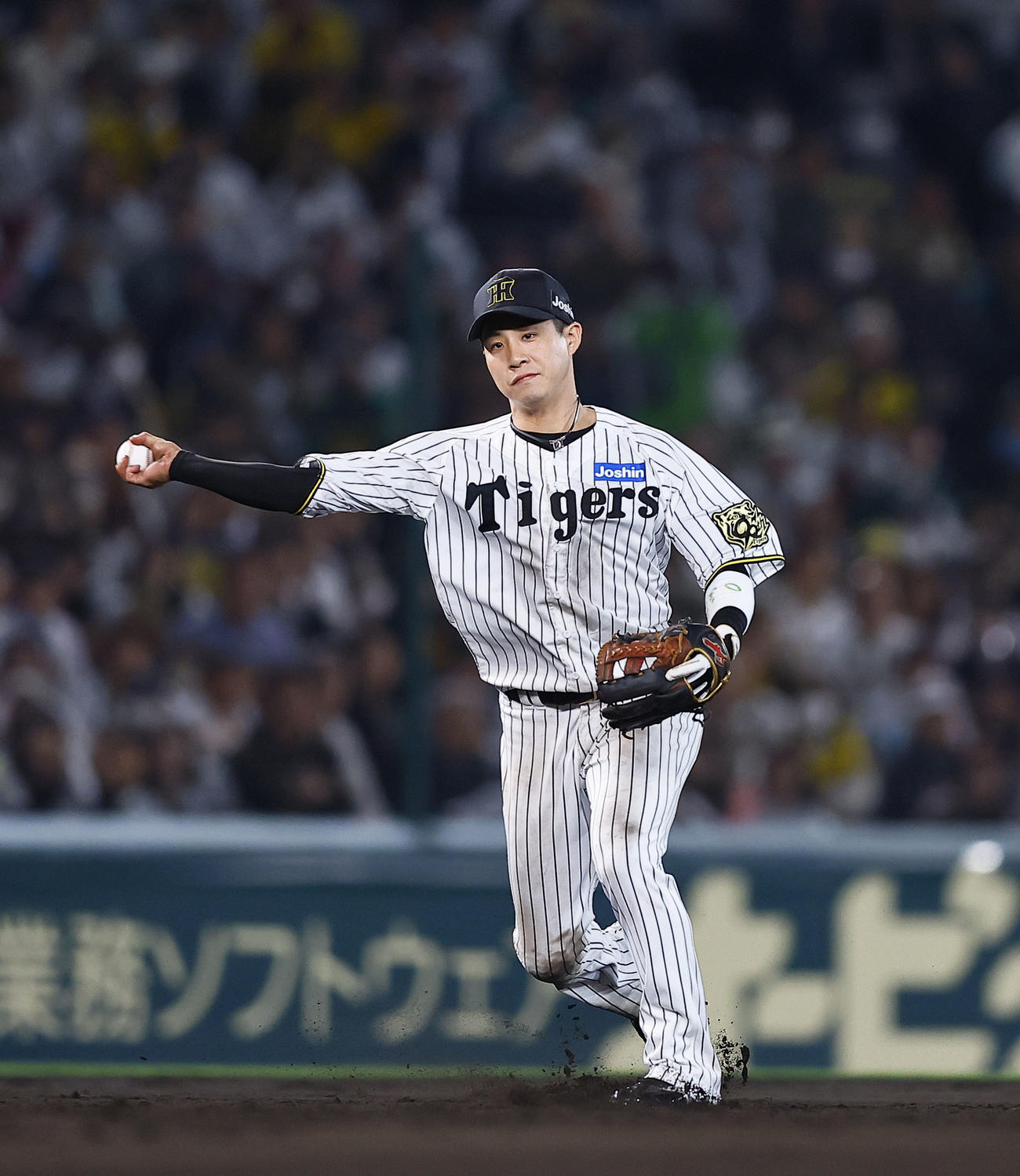 阪神対ヤクルト　7回表ヤクルト2死、サンタナの三ゴロを処理する木浪（撮影・藤尾明華）