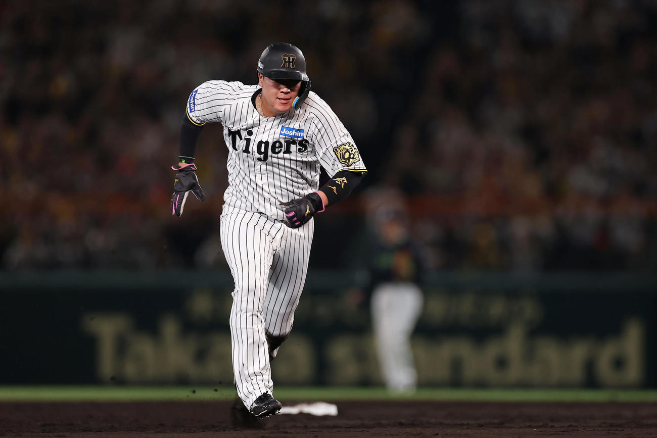 阪神対ヤクルト　3回裏阪神2死一塁、二盗を決め、相手守備が乱れる間に三進する大山（撮影・前田充）