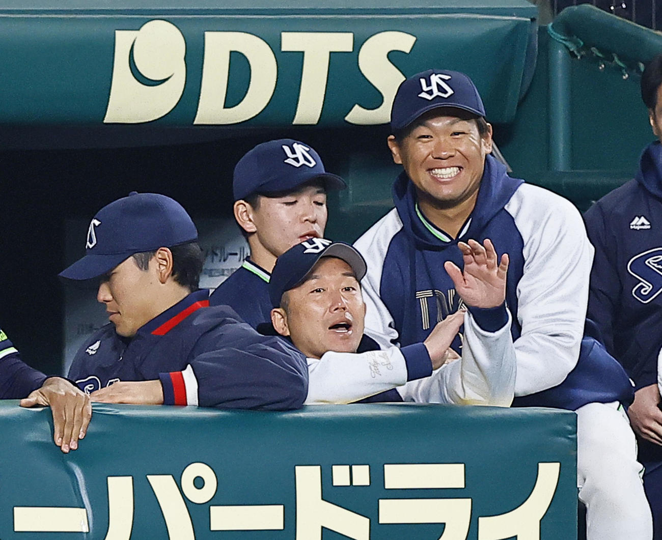 阪神対ヤクルト　阪神に勝利し、24年連続勝利を達成。ベンチで喜ぶヤクルト石川（中央）（撮影・藤尾明華）