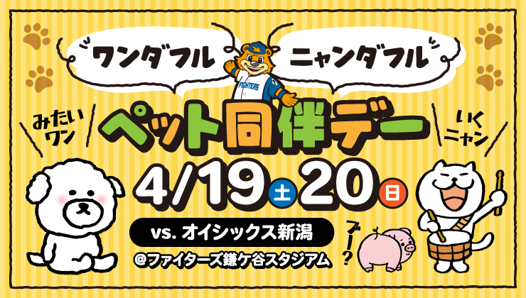19、20日のイースタン・リーグ、オイシックス戦（鎌ケ谷）で愛犬や愛猫と一緒に試合を観戦できる「ペット同伴デー」を開催