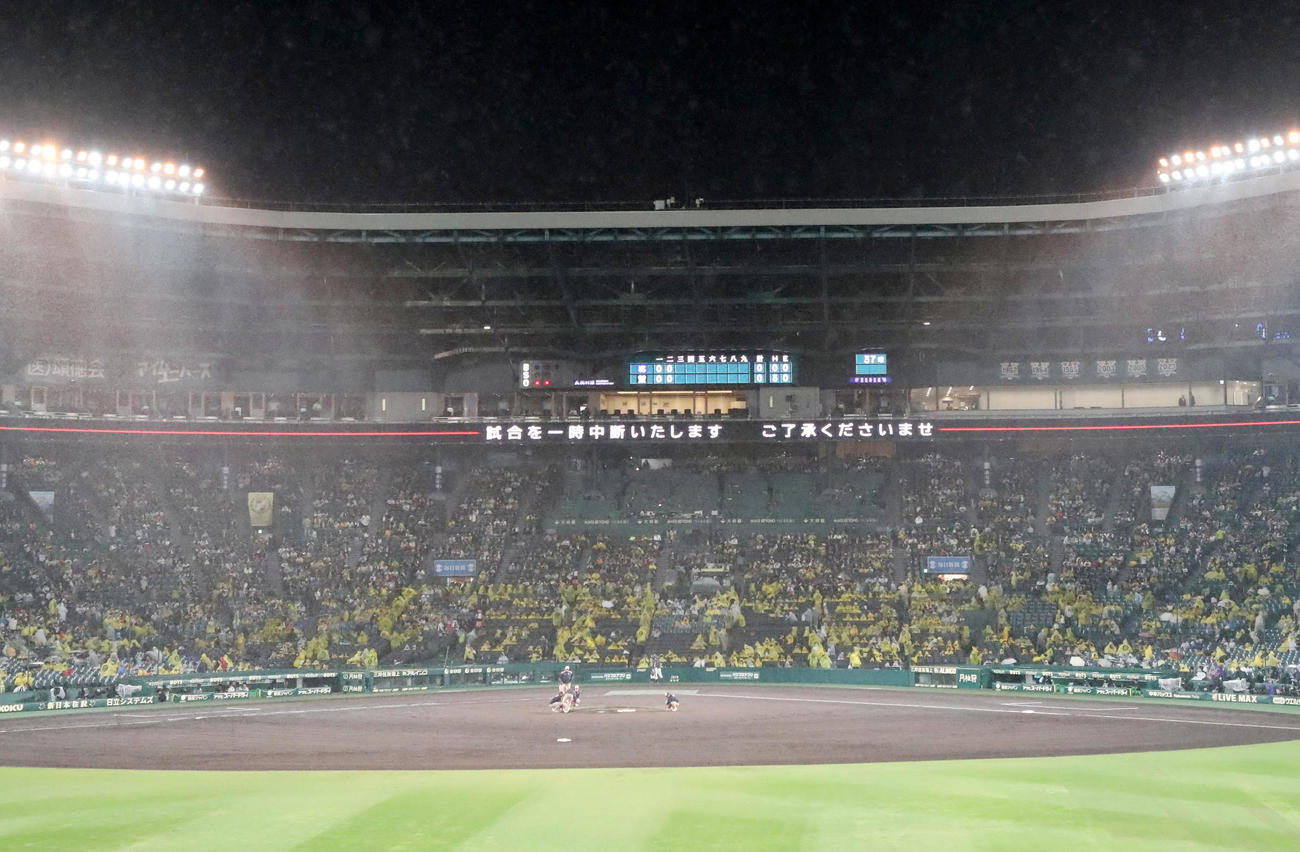 阪神対ヤクルト　甲子園球場は3回表ヤクルト2死で降雨中断（撮影・加藤哉）