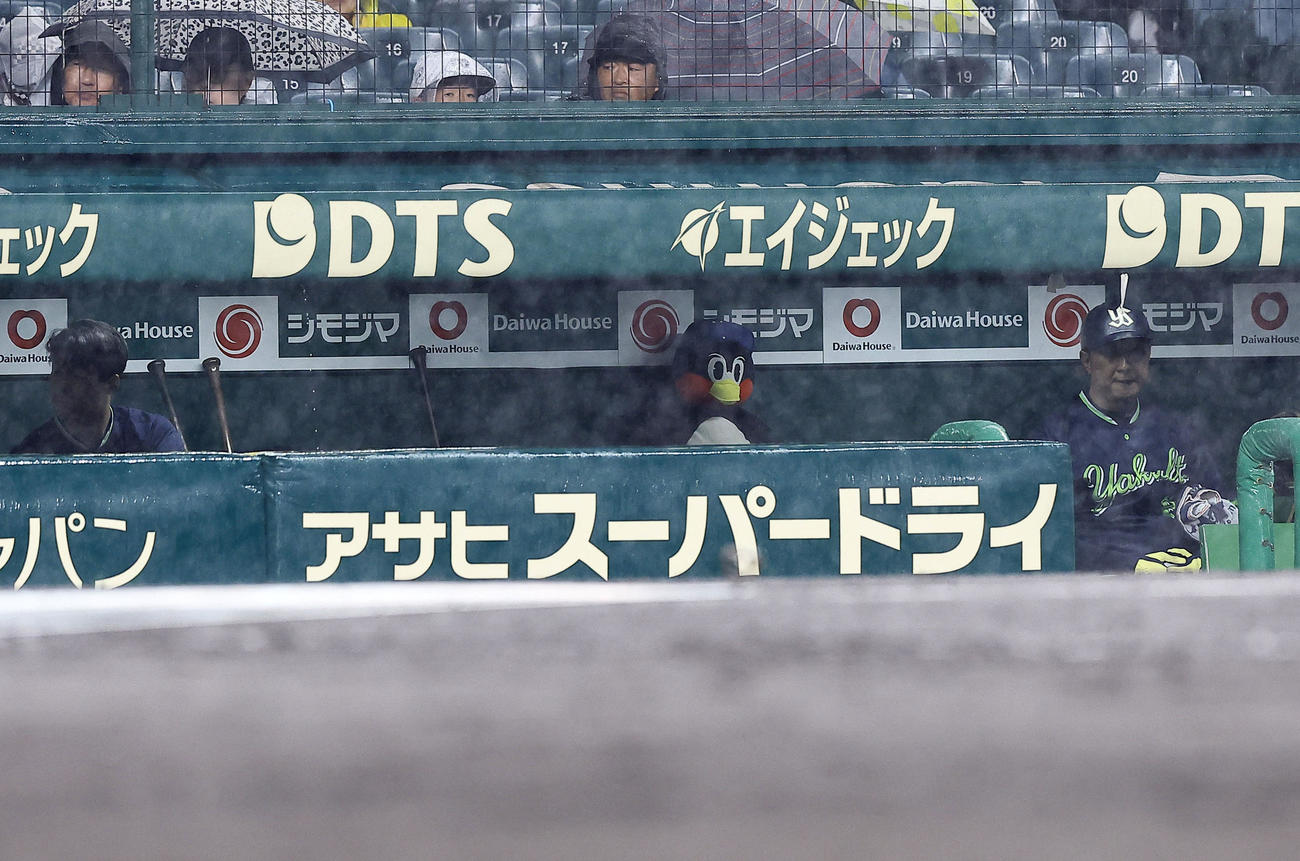 阪神対ヤクルト　3回、降雨中断で試合再開を待つヤクルトベンチ（撮影・藤尾明華）