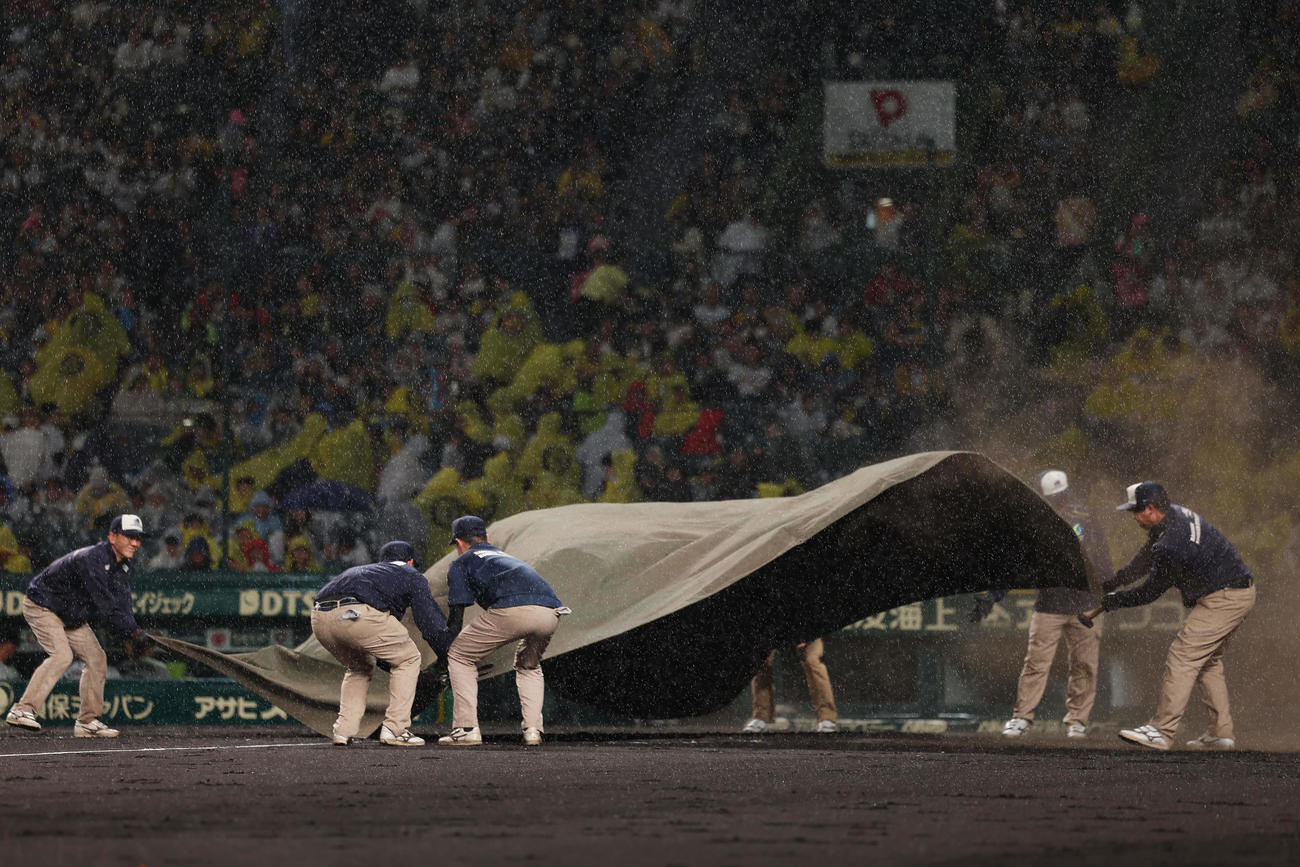 阪神対ヤクルト　3回表ヤクルト2死、雨が強まり試合が中断となり、シートを広げる阪神園芸の職員ら（撮影・前田充）
