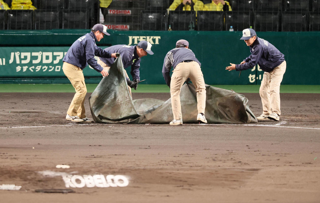 阪神対ヤクルト　グラウンドに出てシートをはがす阪神園芸の係員たち（撮影・加藤哉）
