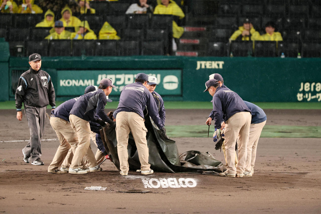 阪神対ヤクルト　グラウンドに出てシートをはがす阪神園芸の係員たち（撮影・加藤哉）