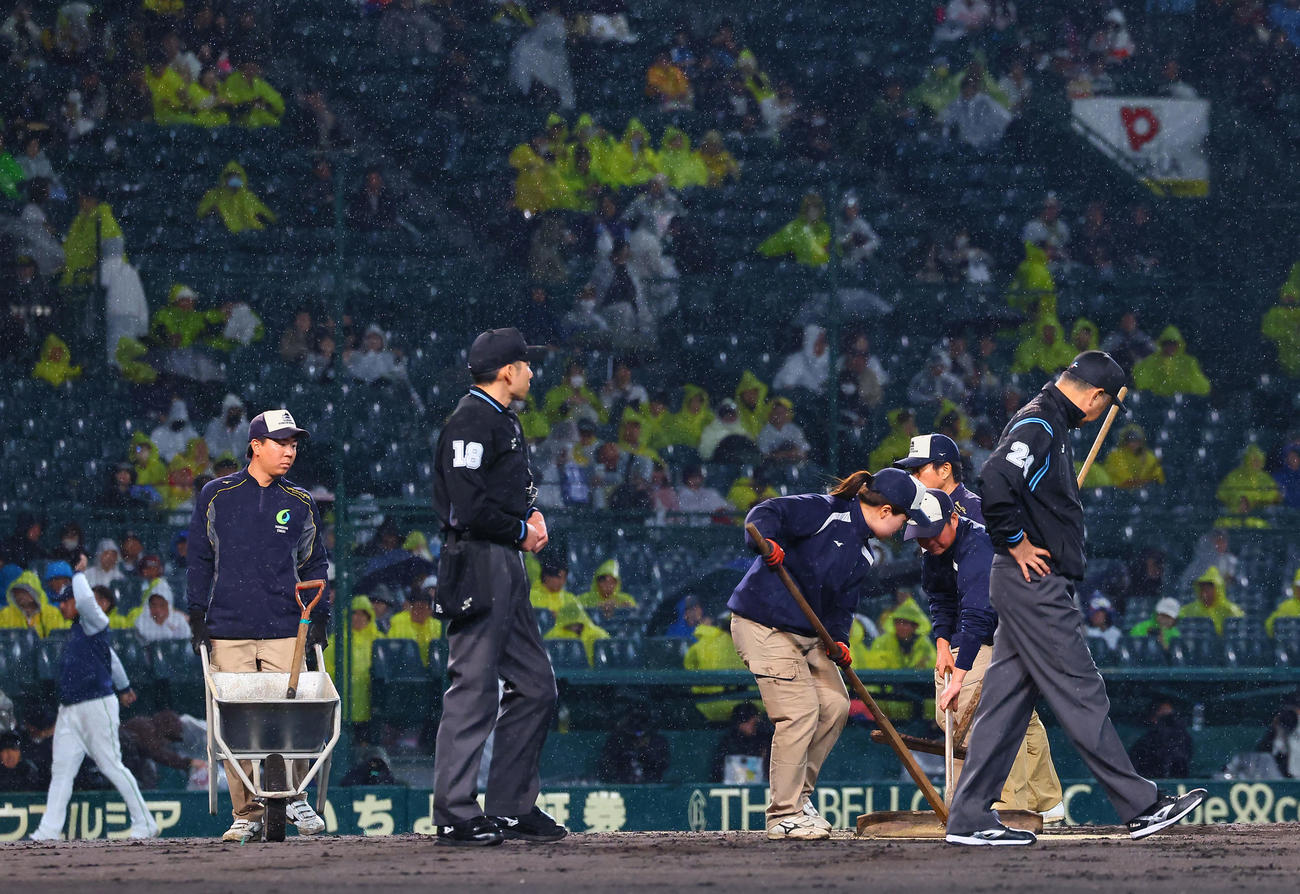 阪神対ヤクルト　3回、整備する阪神園芸のスタッフ（撮影・藤尾明華）