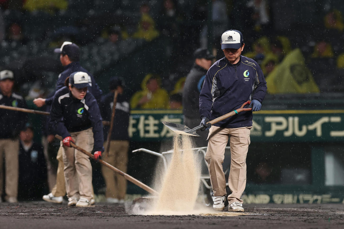 阪神対ヤクルト　試合再開に向けグラウンドの整備を始める阪神園芸の職員ら（撮影・前田充）