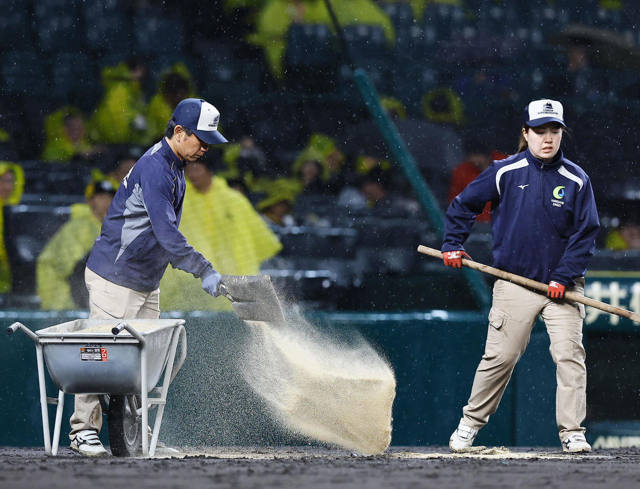 阪神対ヤクルト　3回、整備する阪神園芸のスタッフ（撮影・藤尾明華）