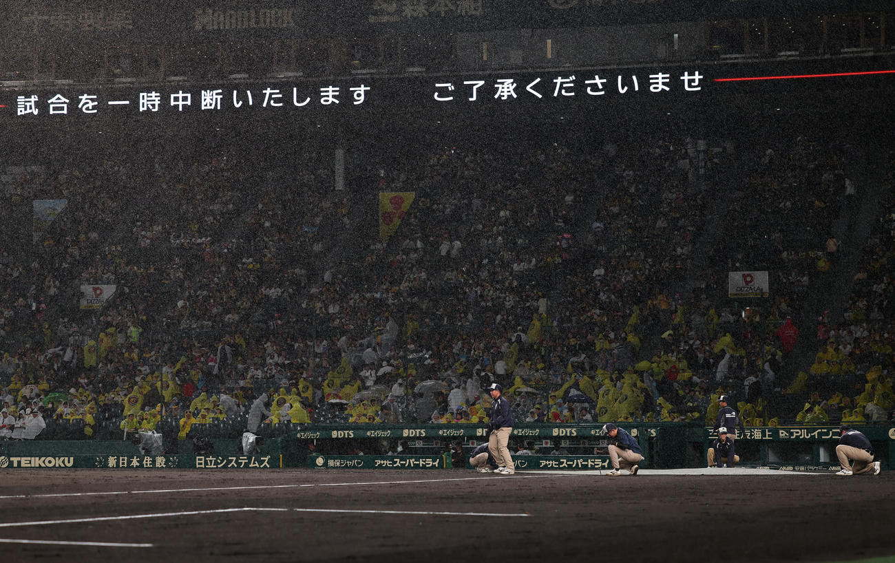 阪神対ヤクルト　3回表ヤクルト2死、雨が強まり試合が中断となった甲子園球場（撮影・前田充）