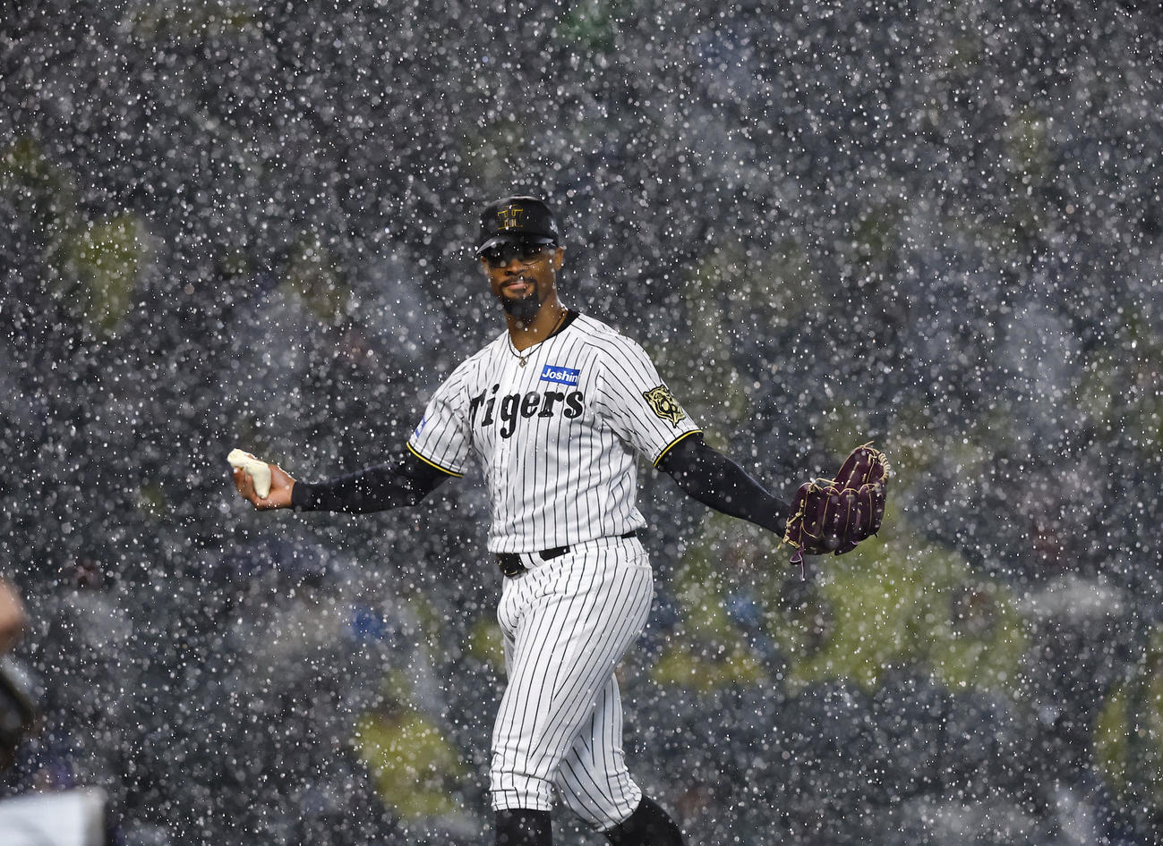 阪神対ヤクルト　3回、試合再開と同時にノーゲームとなり、ベンチに帰る阪神デュプランティエ（撮影・藤尾明華）