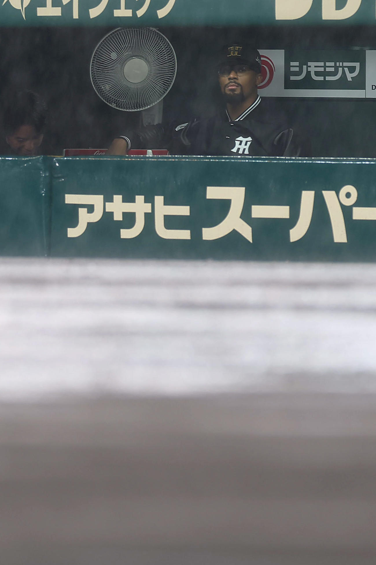 阪神対ヤクルト　ノーゲームとなった甲子園球場のグラウンドをベンチから見つめる阪神デュプランティエ（撮影・前田充）