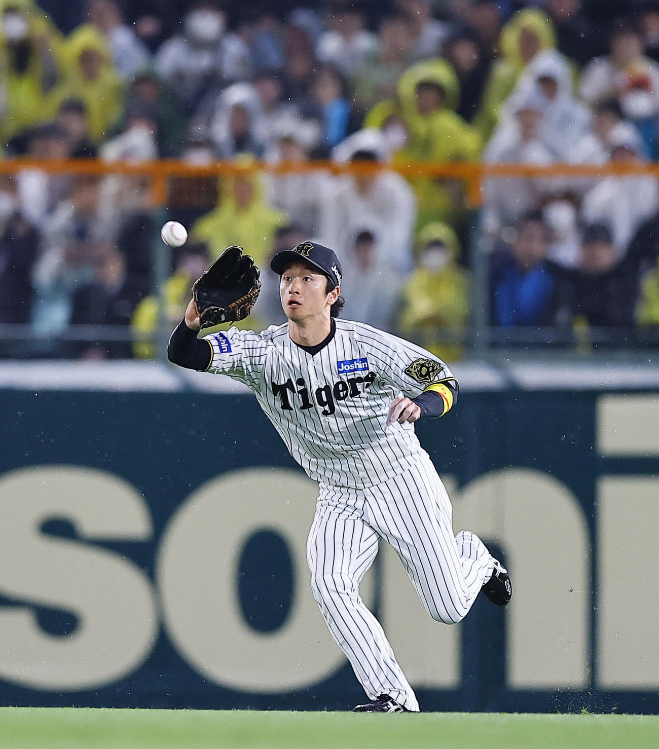 阪神対ヤクルト　2回表ヤクルト無死一塁、山田の中飛を捕球する近本（撮影・藤尾明華）
