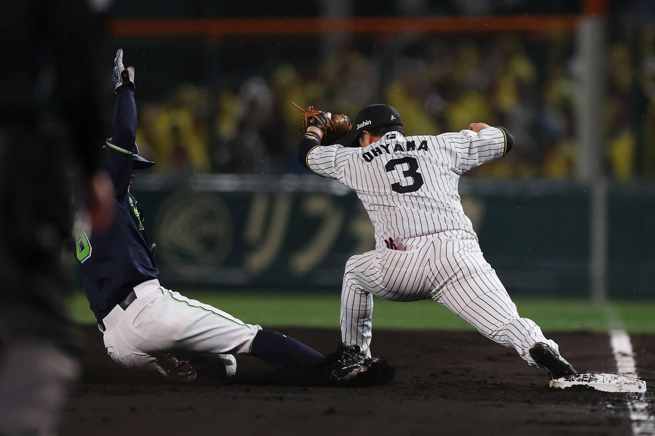 阪神対ヤクルト　2回表ヤクルト無死一塁、山田の中飛で飛び出し、帰塁できずにアウトとなる茂木。一塁手大山（撮影・前田充）