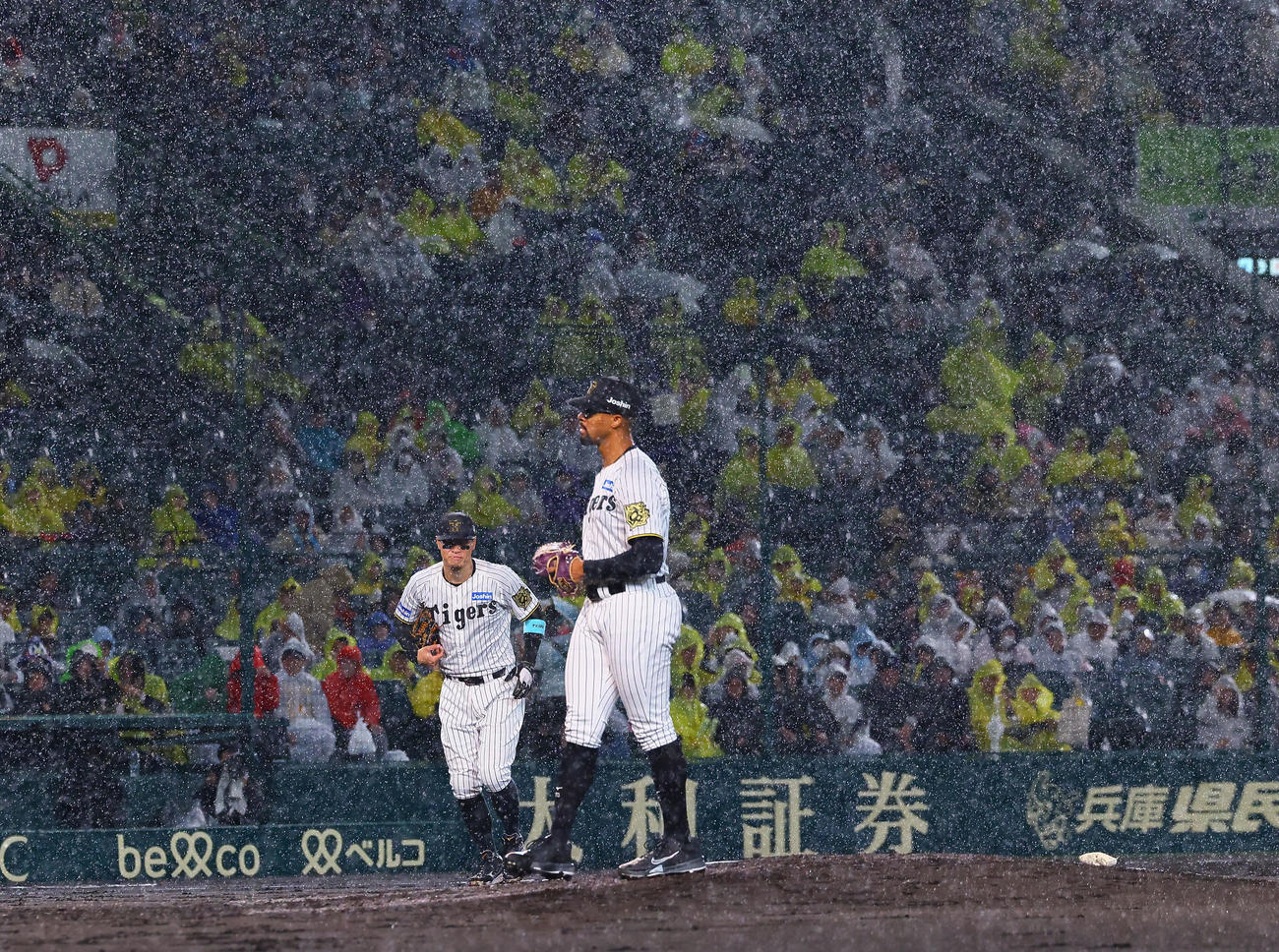阪神対ヤクルト　3回表ヤクルト2死、試合が中断となりベンチに戻る佐藤輝（左）とデュプランティエ（撮影・藤尾明華）