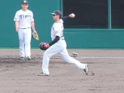 遊撃でノックを受け、送球する阪神ゲラ（撮影・塚本光）