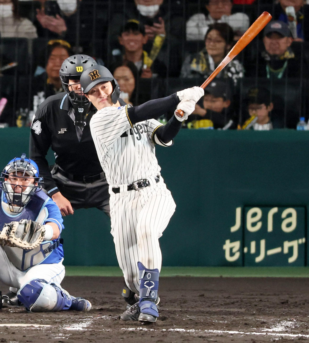 阪神対ヤ中日　7回裏阪神1死一、二塁、左前打を放つ坂本（撮影・加藤哉）
