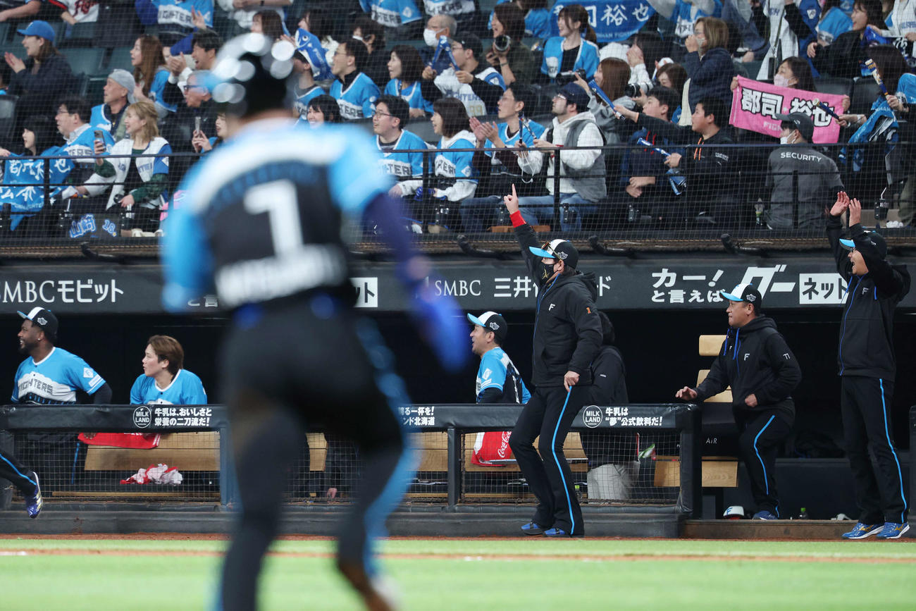 日本ハム対西武　12回裏日本ハム2死二塁、郡司の右越えサヨナラ2点本塁打を見送る新庄監督（中央）（撮影・宮地輝）