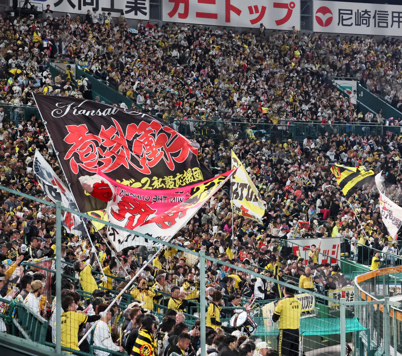 阪神対中日　声援を送る阪神ファン（撮影・加藤哉）