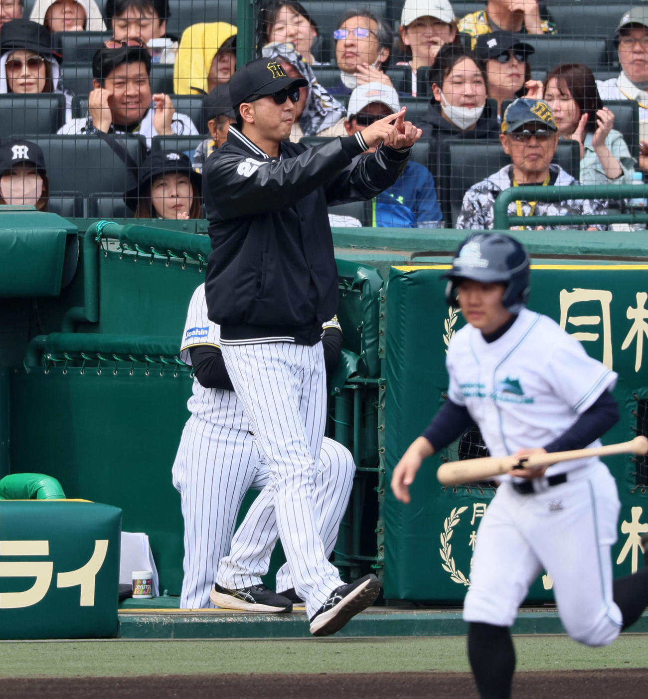 阪神対中日　1回表中日無死、藤川監督は岡林の二塁判定にリクエストする（撮影・加藤哉）
