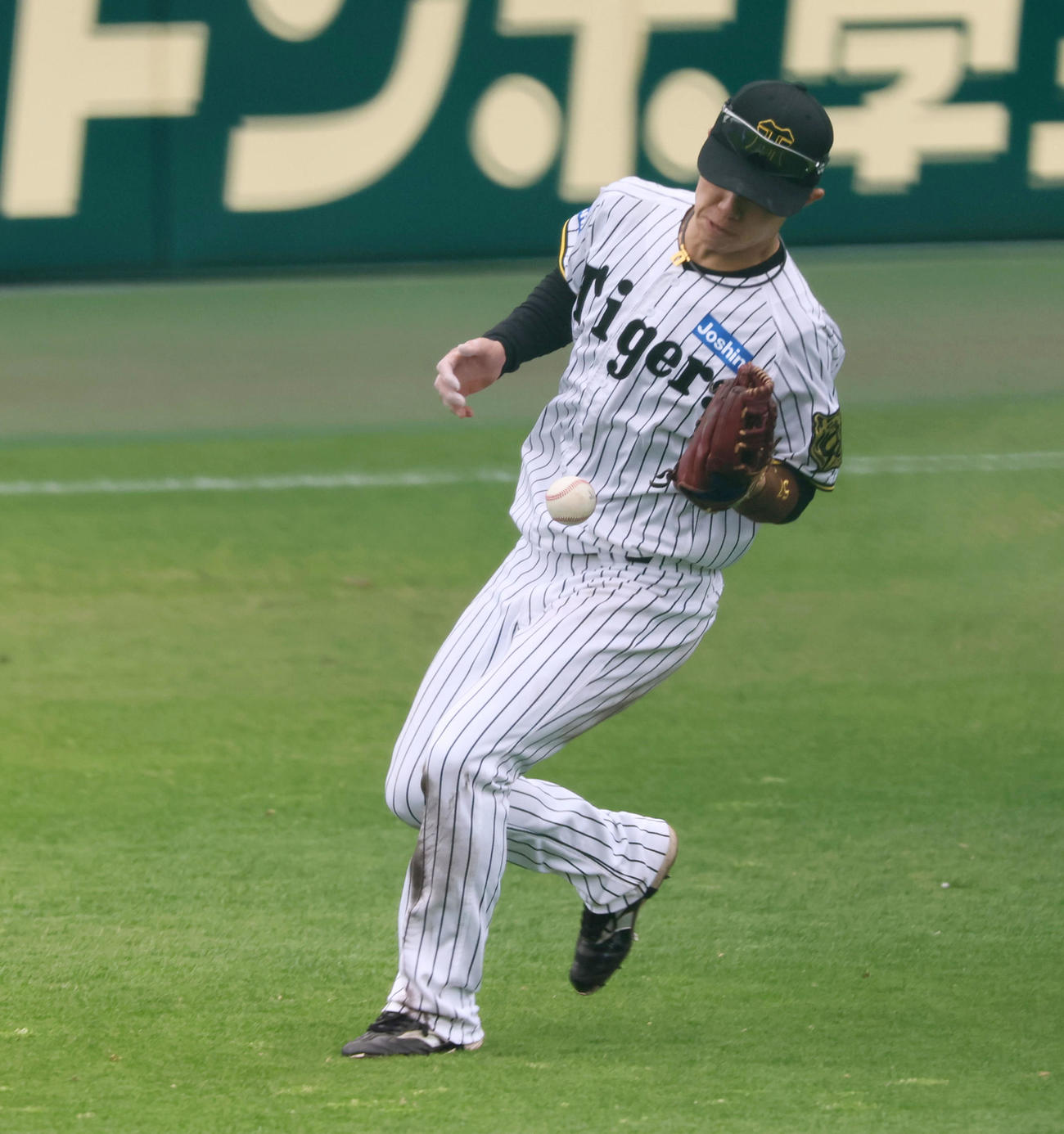 阪神対中日　5回表中日1死一、三塁、中野は背走でボスラーの打球を追ったが捕球出来ず二塁で一塁走者細川をアウトにする（撮影・加藤哉）