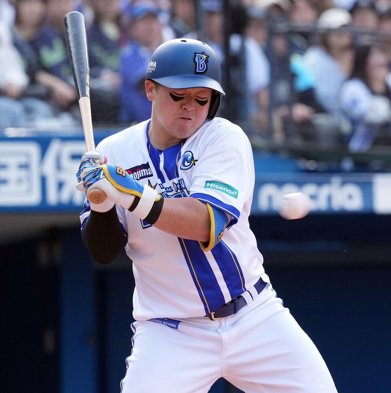 DeNA対ヤクルト　5回裏DeNA1死一塁、死球を受ける牧（撮影・たえ見朱実）