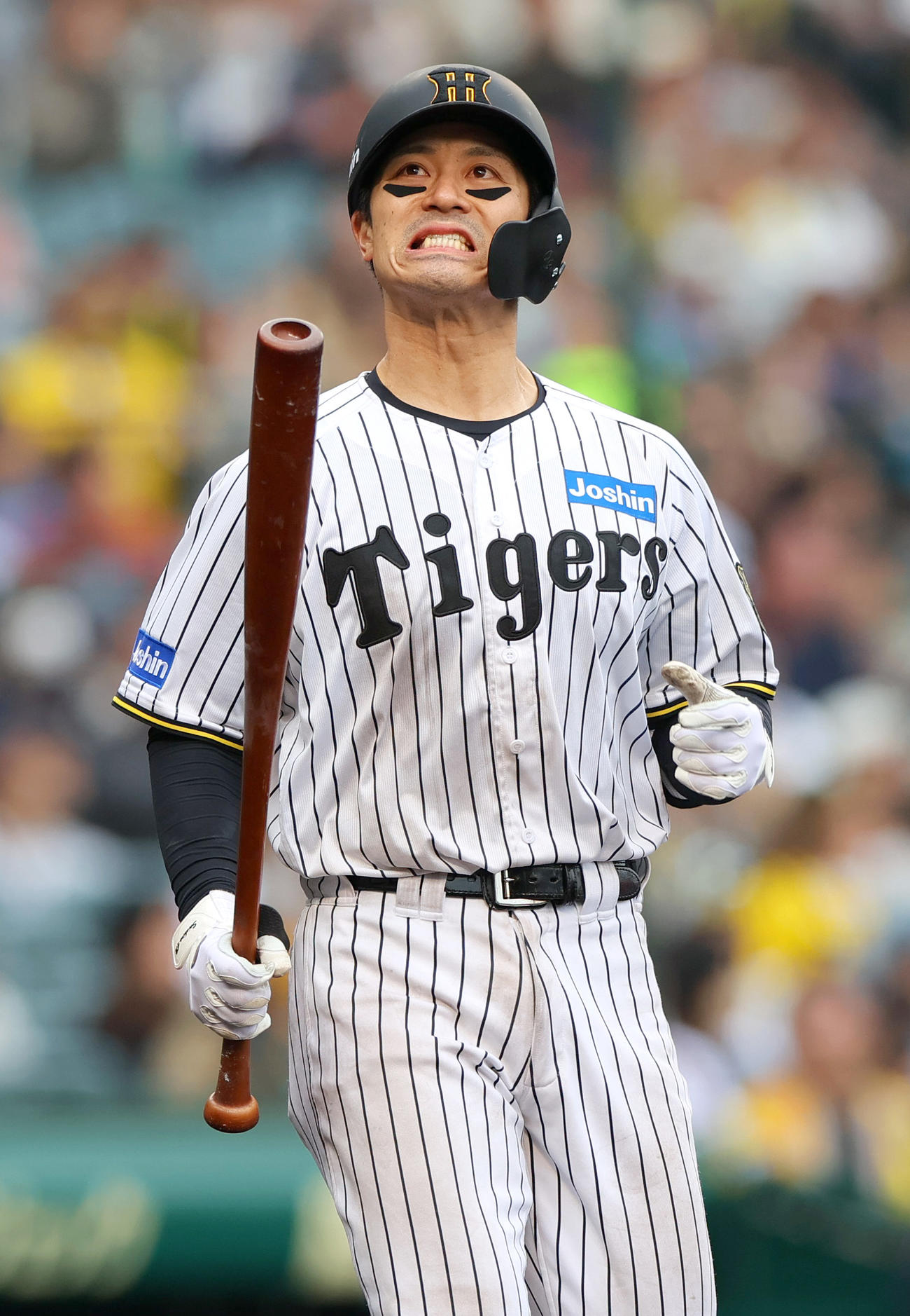 阪神対中日　6回裏阪神2死二塁、坂本は打球がファウルとなり悔しがる（撮影・上山淳一）