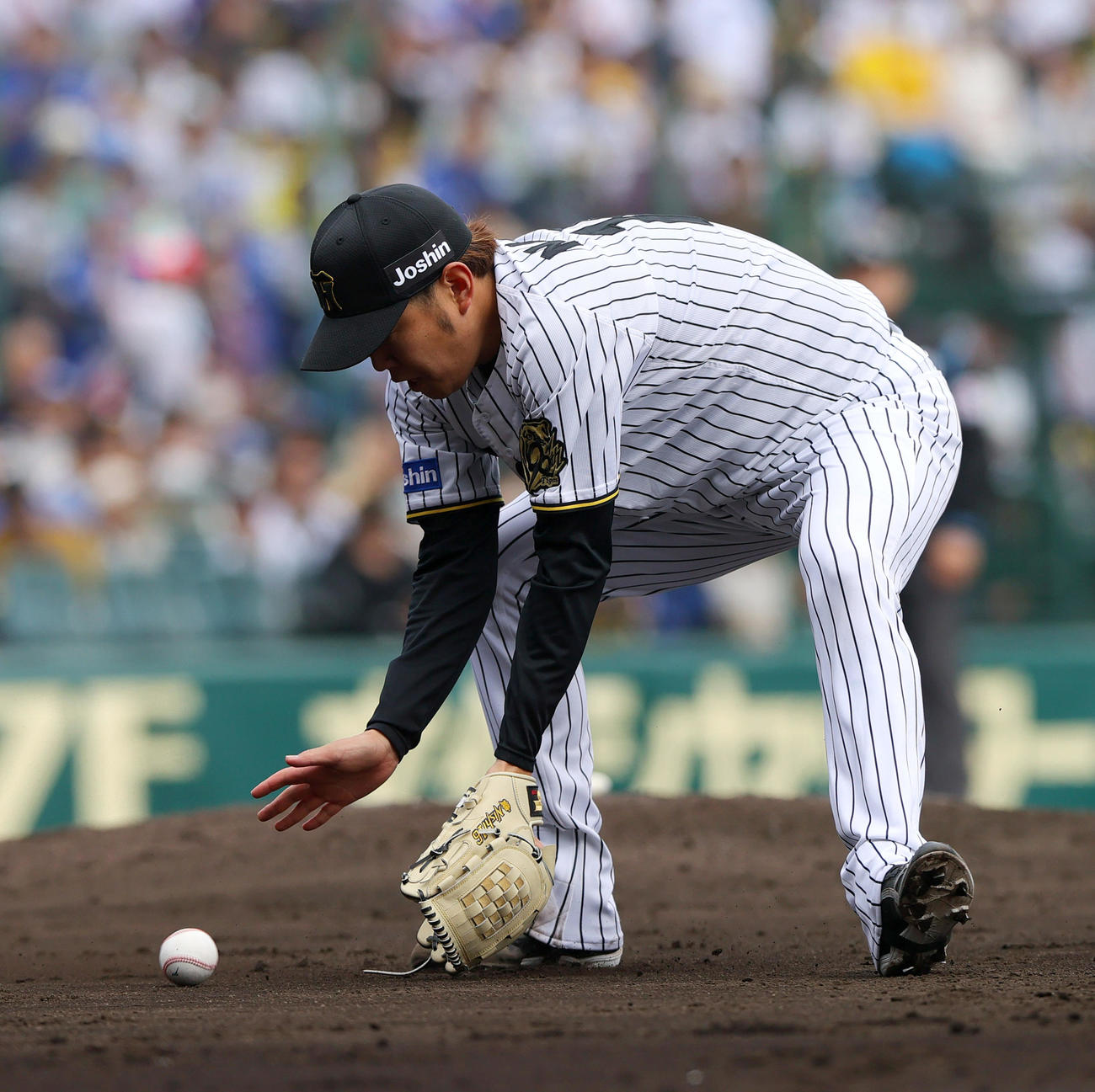 阪神対中日　3回表中日2死、西勇は細川の投ゴロに反応する（撮影・上山淳一）