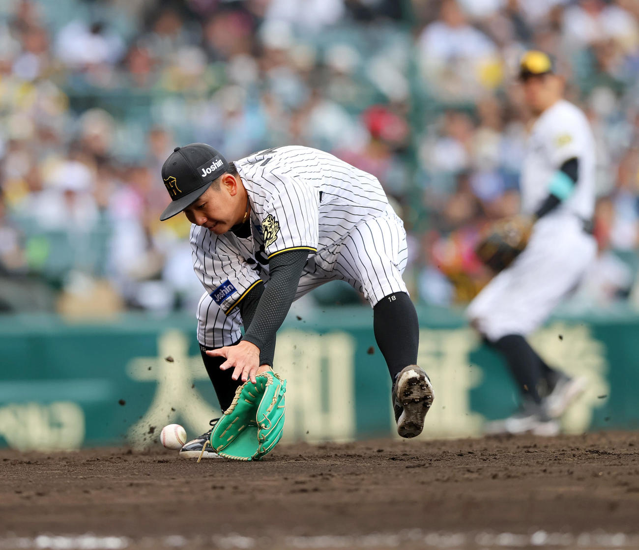 阪神対中日　7回表中日無死一塁、伊原陵人は板山祐太郎のバントを処理する（撮影・上山淳一）