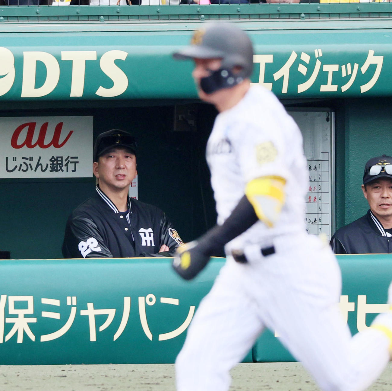 阪神対中日　8回裏阪神1死一塁、藤川監督はベンチから森下の打球を見つめる（撮影・加藤哉）