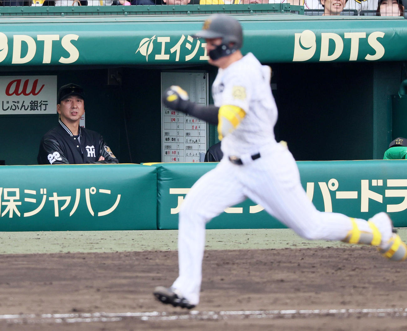 阪神対中日　8回裏阪神1死一塁、藤川監督はベンチから森下の打球を見つめる（撮影・加藤哉）