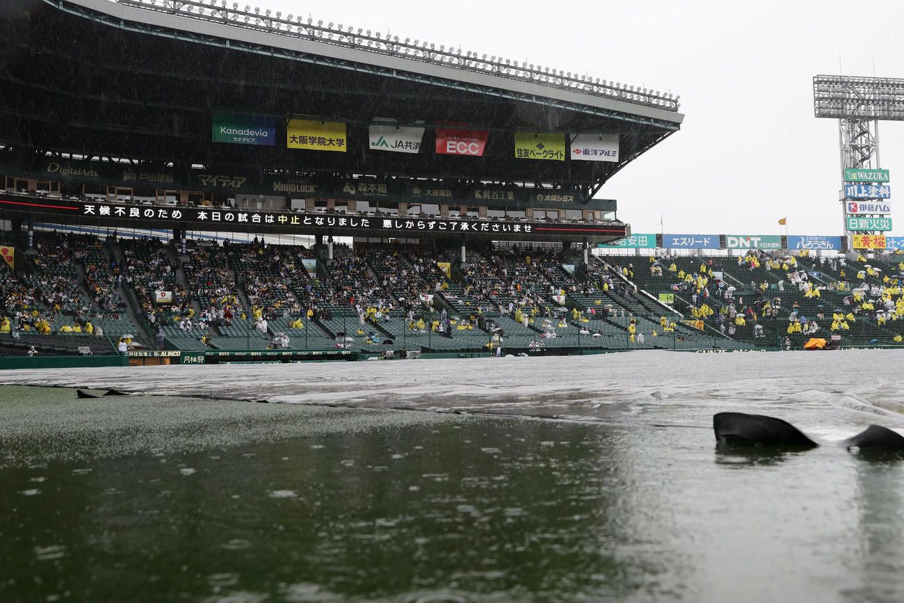 阪神対中日　天候不良のため、試合中止が発表された甲子園球場（撮影・前田充）
