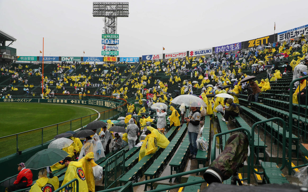 阪神対中日　試合開始予定を遅延させたものの雨がやまず中止となった甲子園球場（撮影・宮崎幸一）