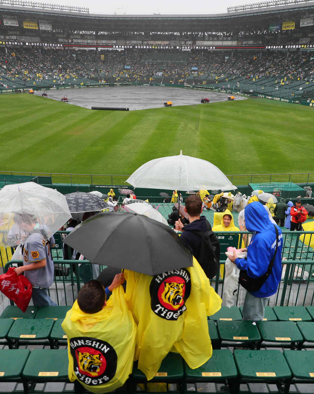 阪神対中日　試合開始予定を遅延させたものの雨がやまず中止となった甲子園球場（撮影・宮崎幸一）