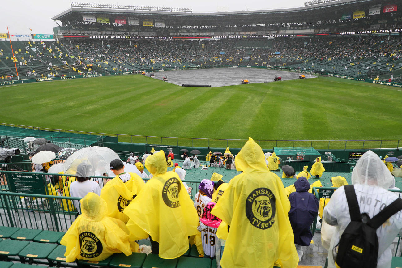 阪神対中日　試合開始予定を遅延させたものの雨がやまず中止となった甲子園球場（撮影・宮崎幸一）