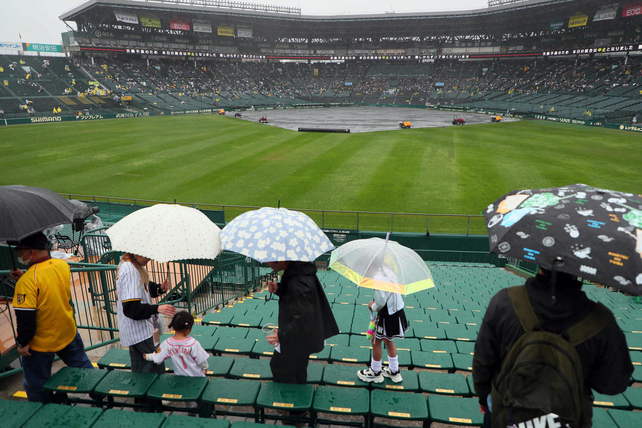 阪神対中日　試合開始予定を遅延させたものの雨がやまず中止となった甲子園球場（撮影・宮崎幸一）
