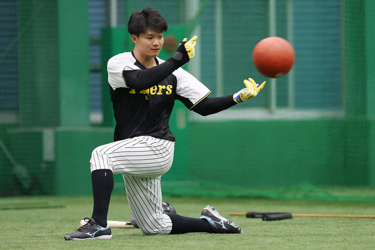 阪神対中日　室内練習場でトレーニングする阪神森下（撮影・前田充）