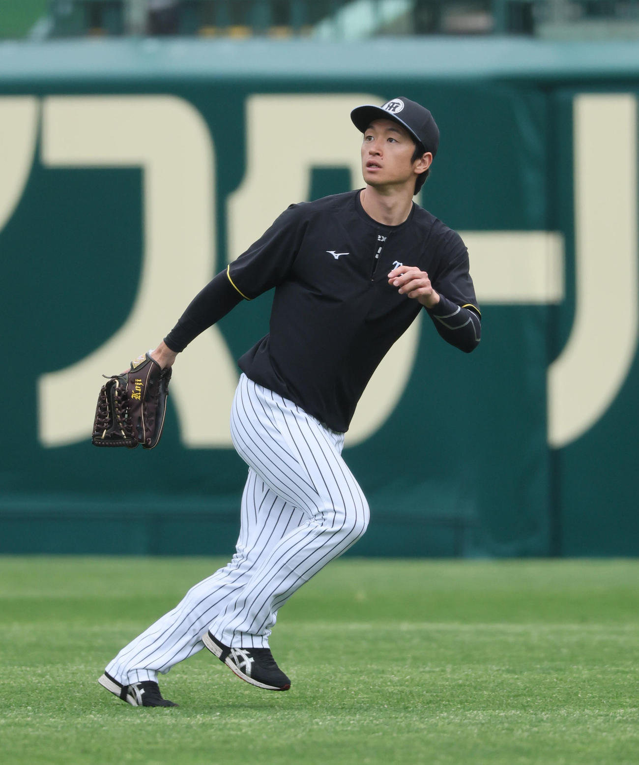 阪神対中日　外野でノックを受ける阪神近本（撮影・宮崎幸一）