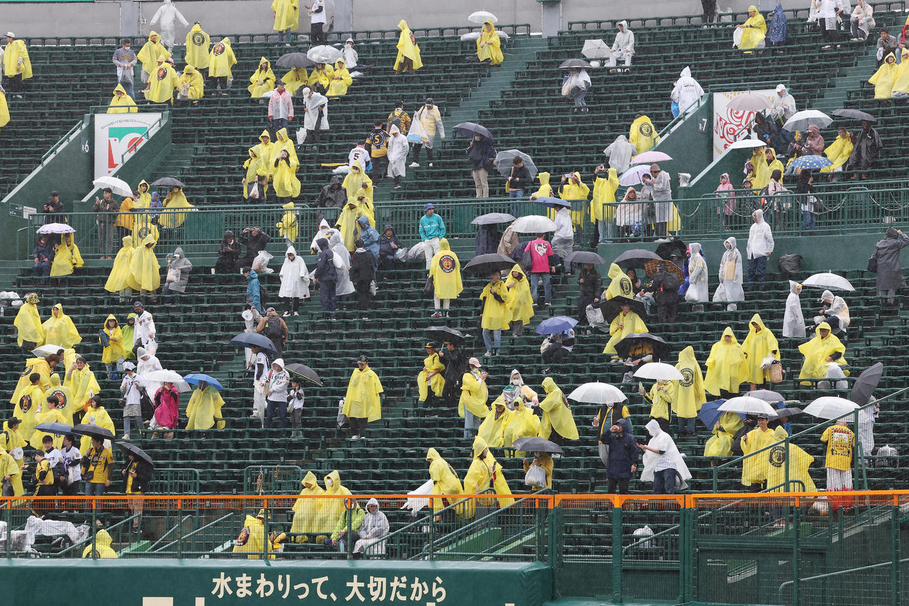 阪神対中日　試合中止が発表され、引き揚げるファンたち（撮影・前田充）