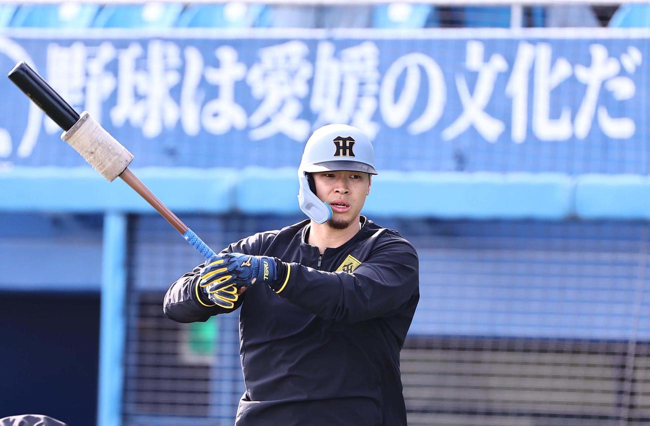 ヤクルト対阪神　打撃練習をする佐藤輝（撮影・上田博志）