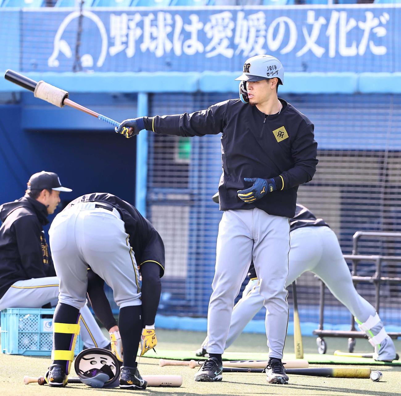 ヤクルト対阪神　打撃練習をする佐藤輝（撮影・上田博志）