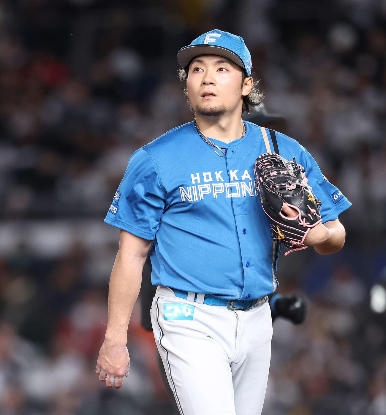 ロッテ対日本ハム　5回表を終えベンチに戻る日本ハム伊藤（撮影・河田真司）