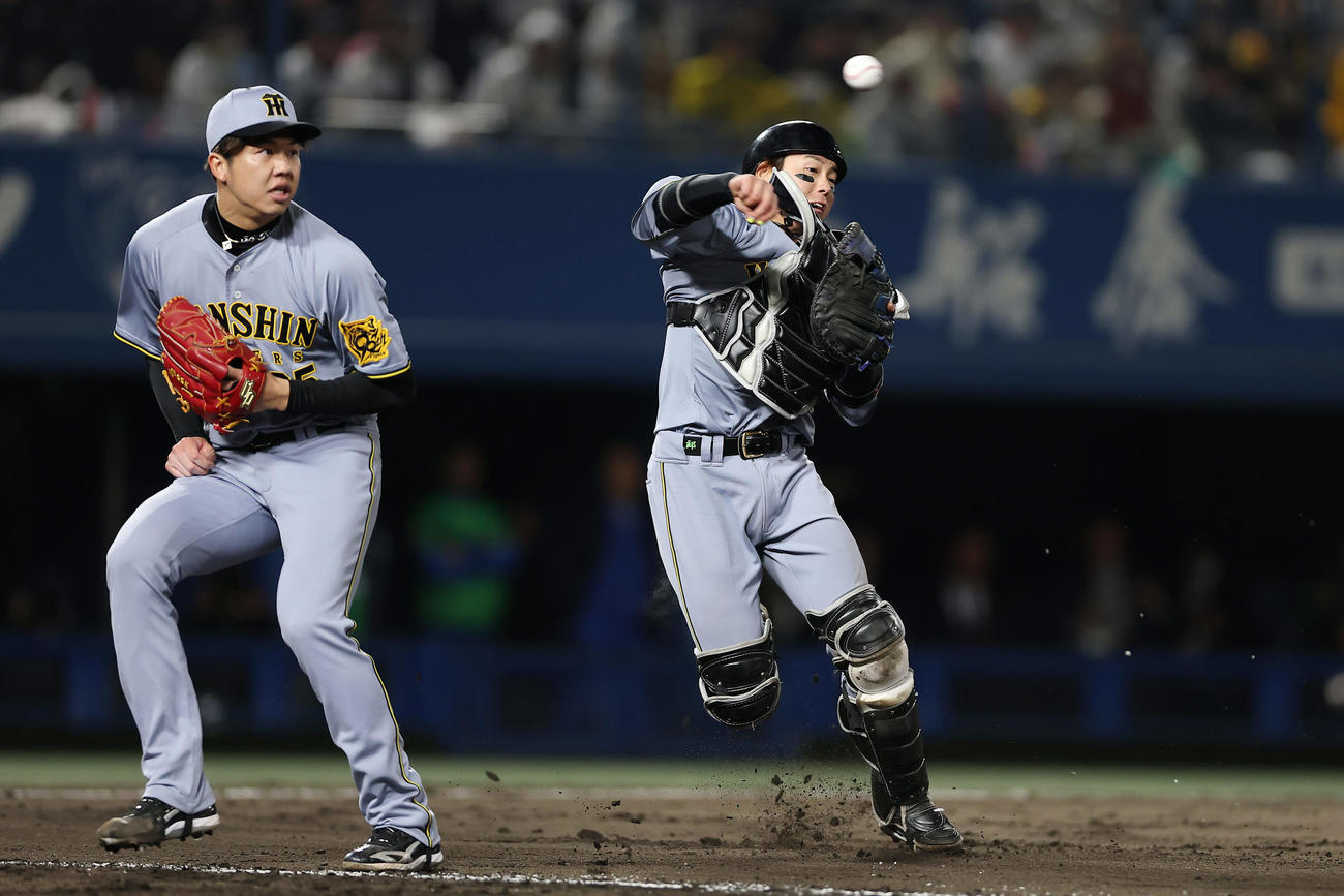 ヤクルト対阪神　6回裏ヤクルト2死一塁、長岡の打球を処理する捕手梅野。左は才木（撮影・前田充）