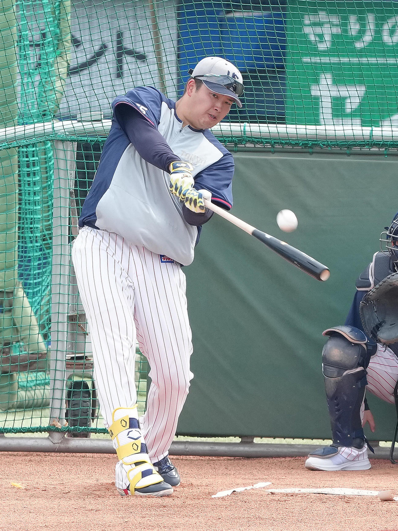 試合前の打撃練習で柵越えの当たりを放つヤクルト村上（撮影・足立雅史）